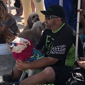 Meet your Posher, James